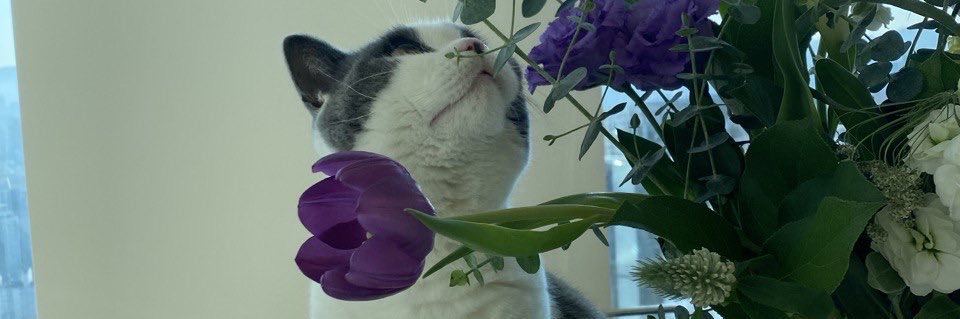 maxiamickyyy's profile banner image