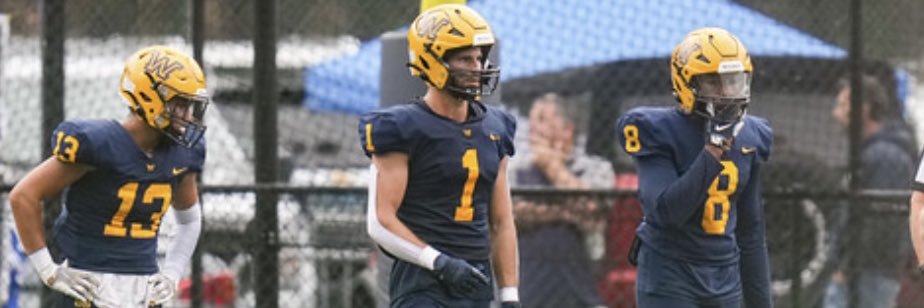 Rob Barbieri banner