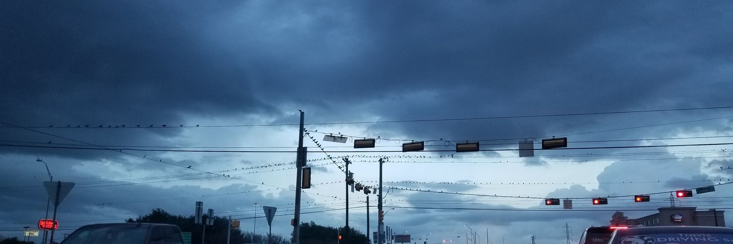 wastelanderApoc's profile banner image