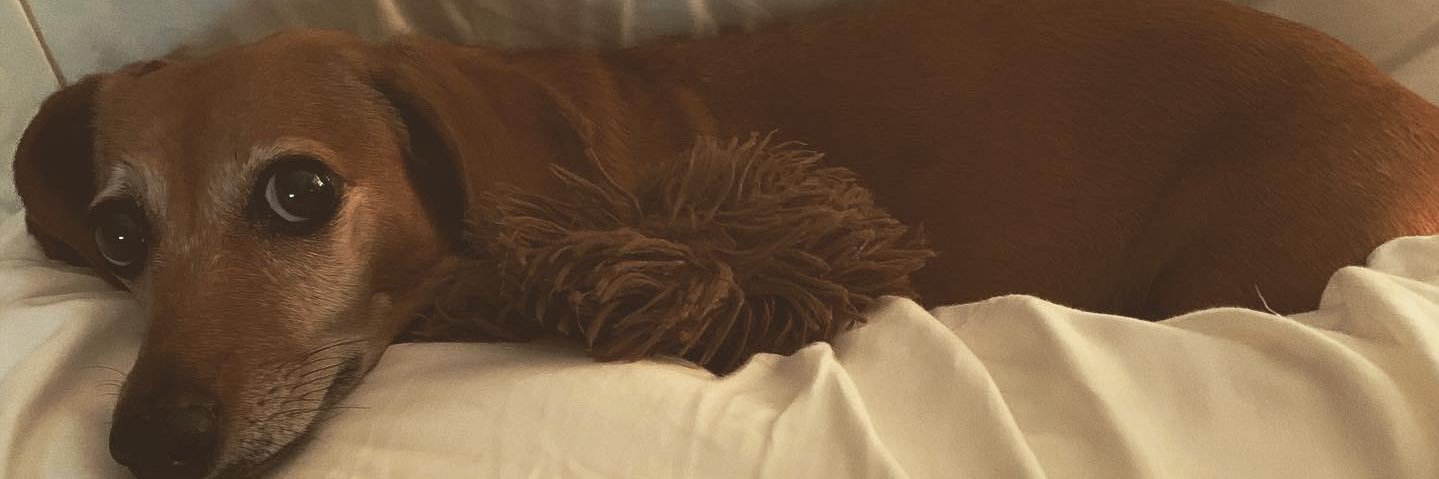 leahcantrell_'s profile banner image