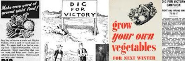 DigforvictoryU Profile Banner