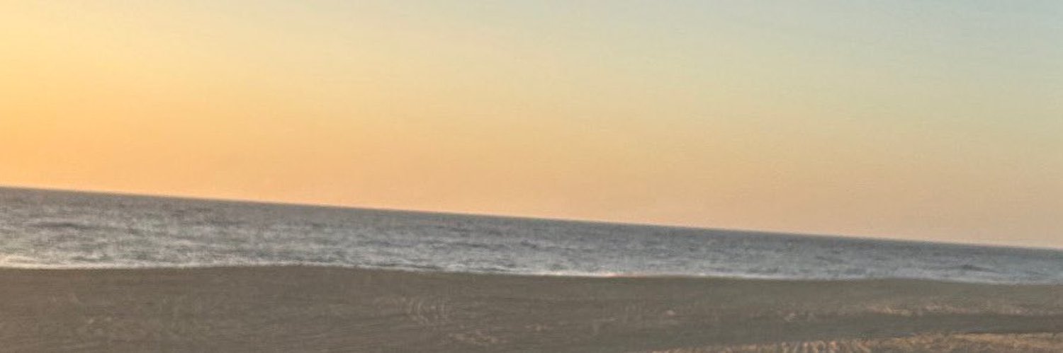 lissa__lin's profile banner image
