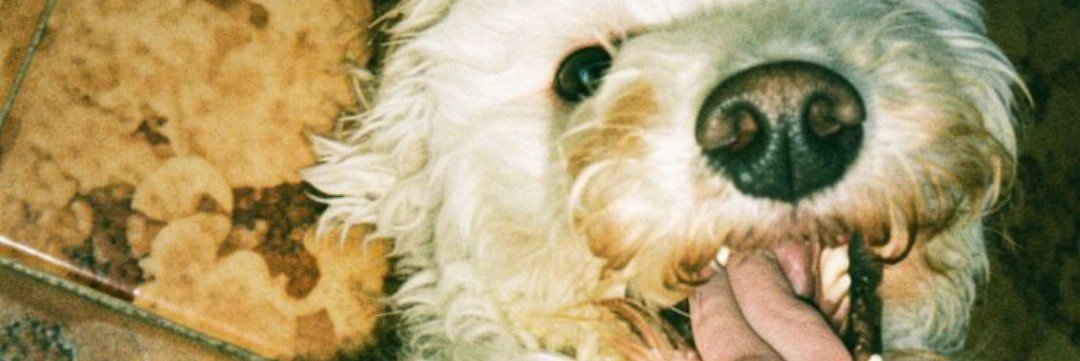 Cmilagrossss's profile banner image