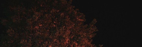 jendeuigi Profile Banner