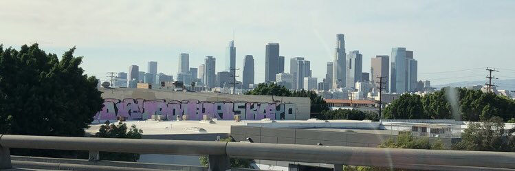 michaelrizzi1's profile banner image