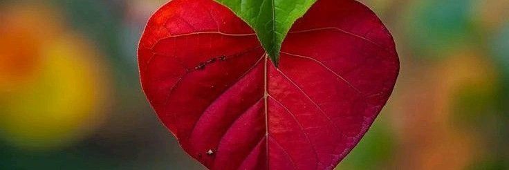 antice44's profile banner image