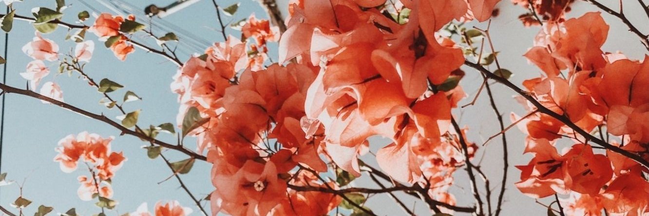 FiorellaZZ's profile banner image