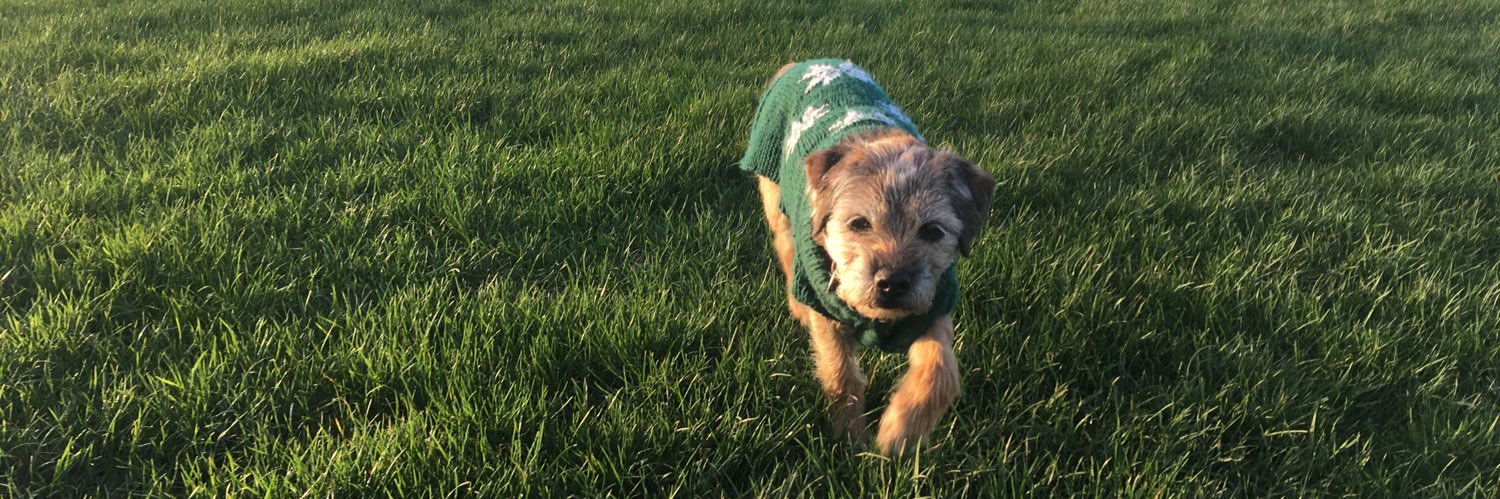 New Forest Groundhopper banner