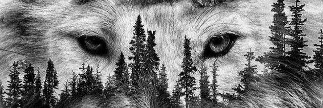 Mosabfreed's profile banner image