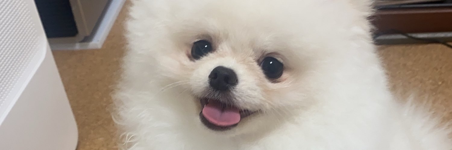 seri_nao's profile banner image