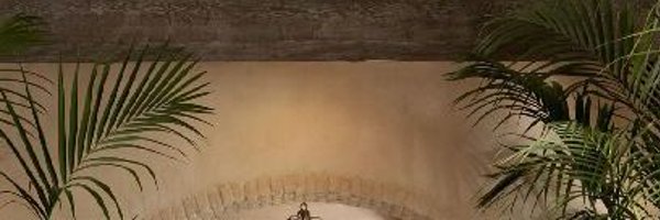 dinaamorrr Profile Banner