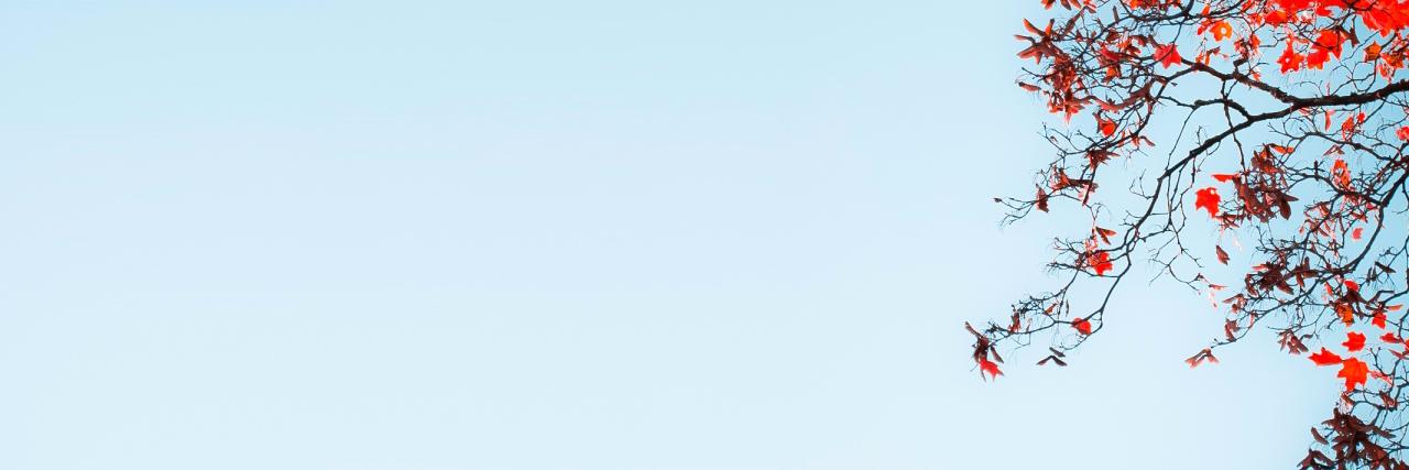 Beslin 🇮🇳 banner