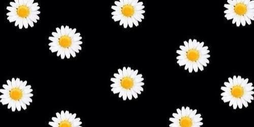 chiara banner