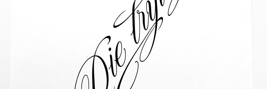 sonderation's profile banner image
