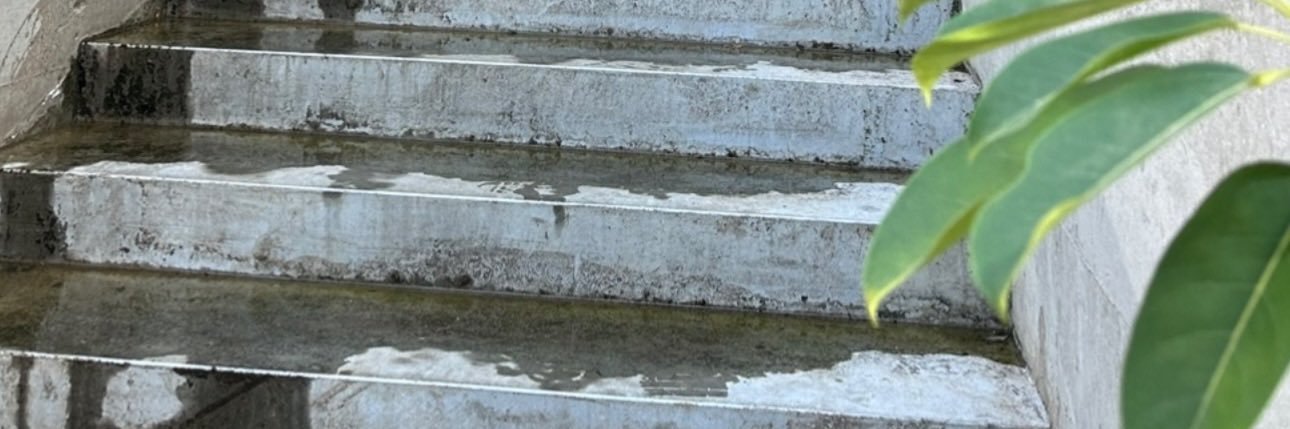 sh_328513's profile banner image