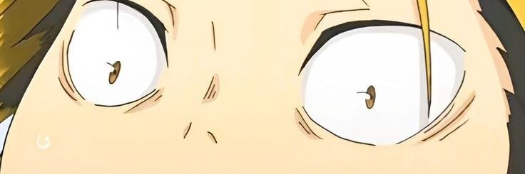 diamond 🐑🐤's banner
