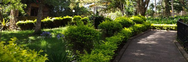 papashilingi Profile Banner