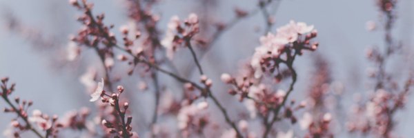 jayehernandez_ Profile Banner