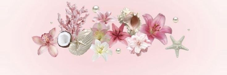 caca banner