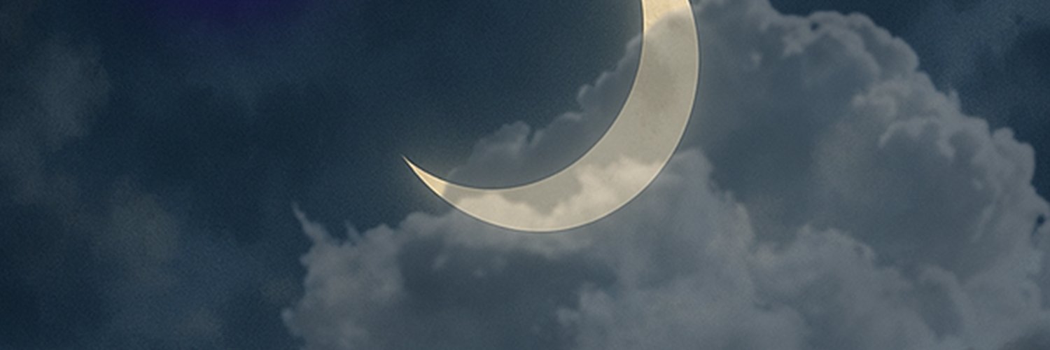 thails_pinewood's profile banner image