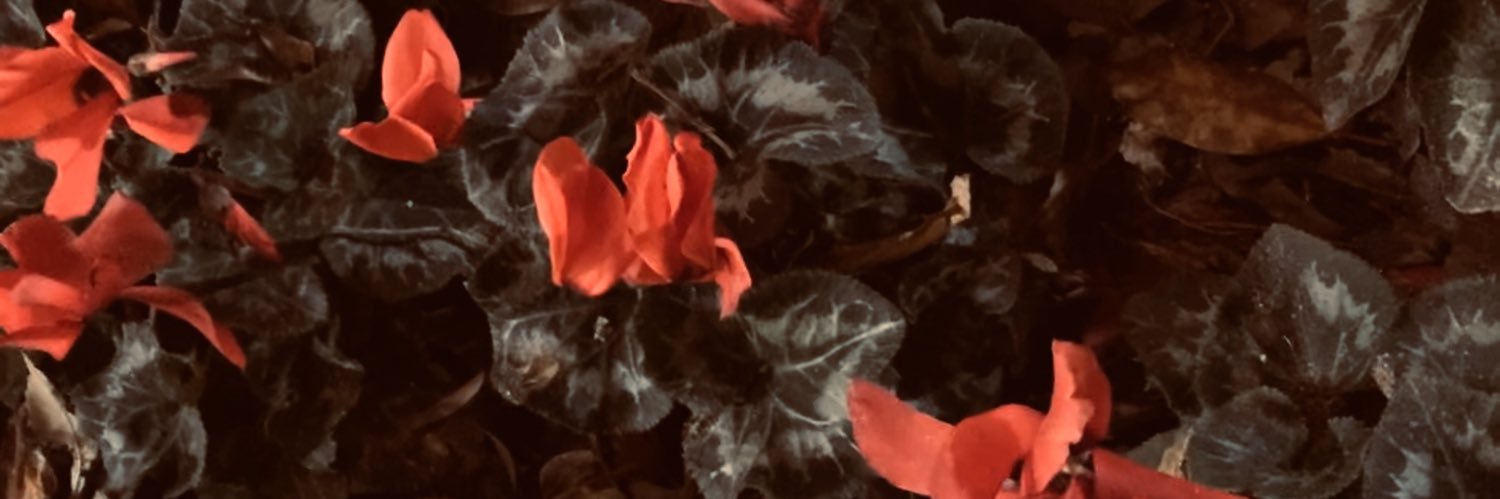 amp_2002 banner