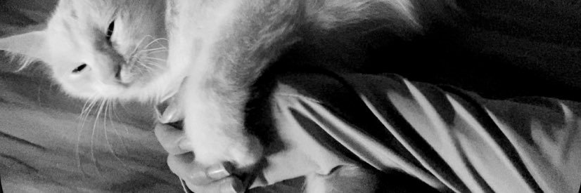131_fy's profile banner image