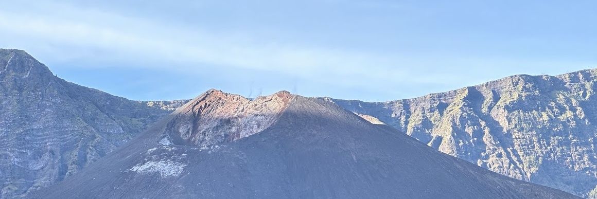tjsunrice's profile banner image