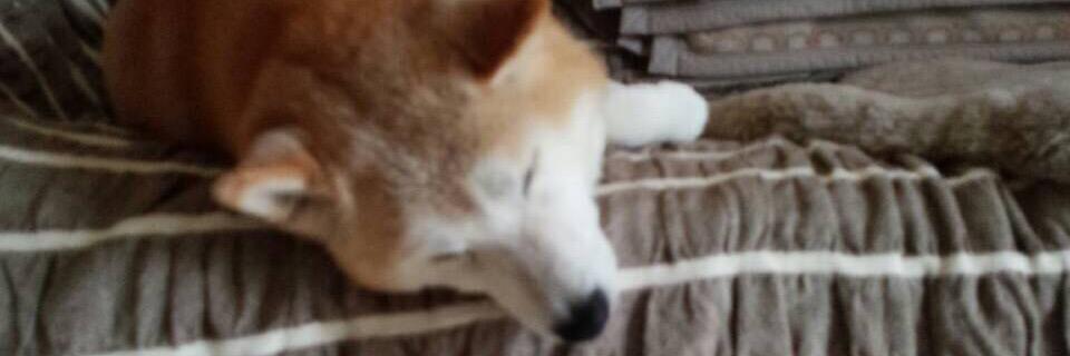 Ricmick's profile banner image