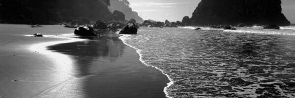 HILALAWRENCE Profile Banner