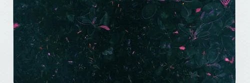 wadeloucks674's profile banner image