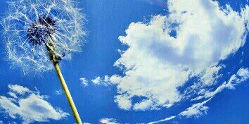 Ashli_f89's profile banner image