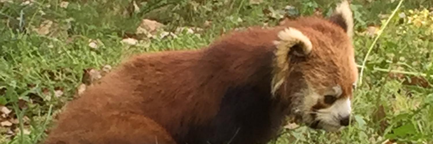 ryutun's profile banner image