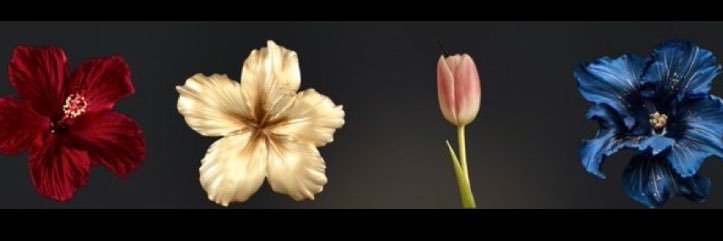 daniaa_0d's profile banner image