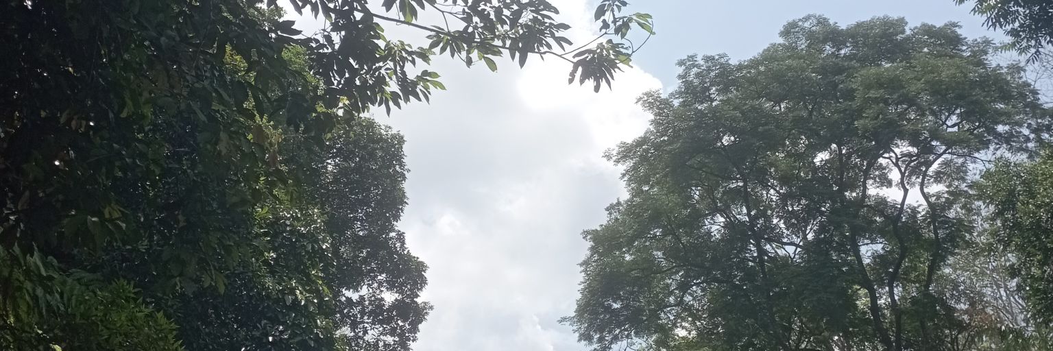 Naufi Hakim banner