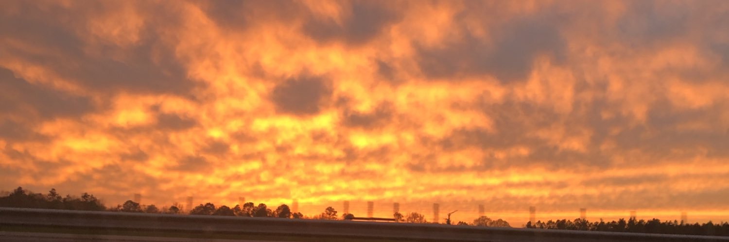 DMackel55's profile banner image