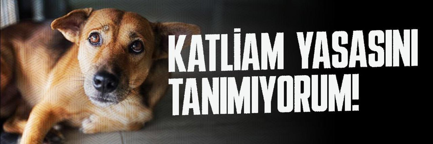 Emine 🇹🇷 banner