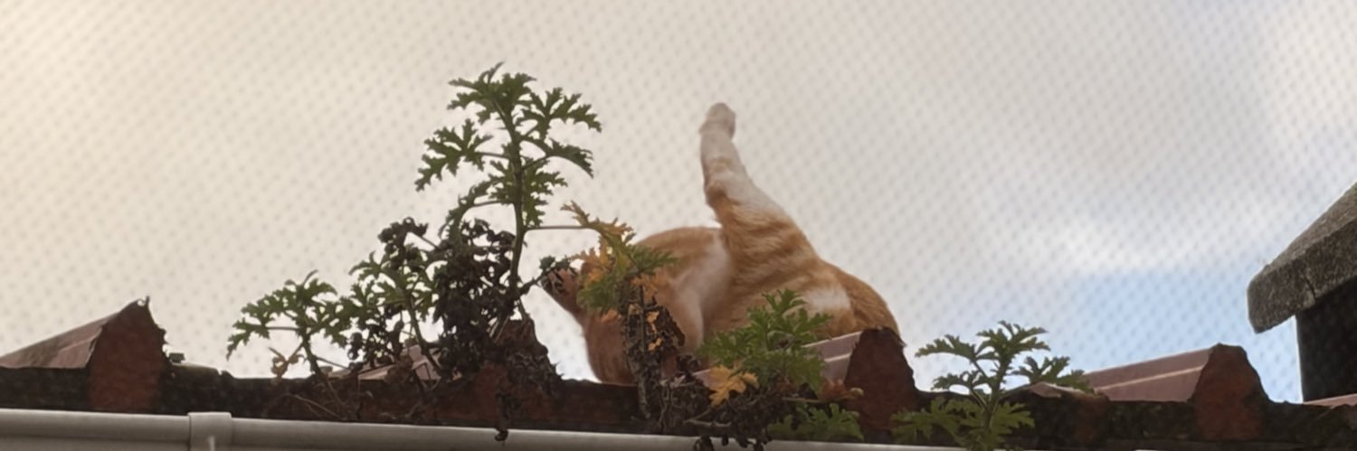 GabrielSnappy's profile banner image