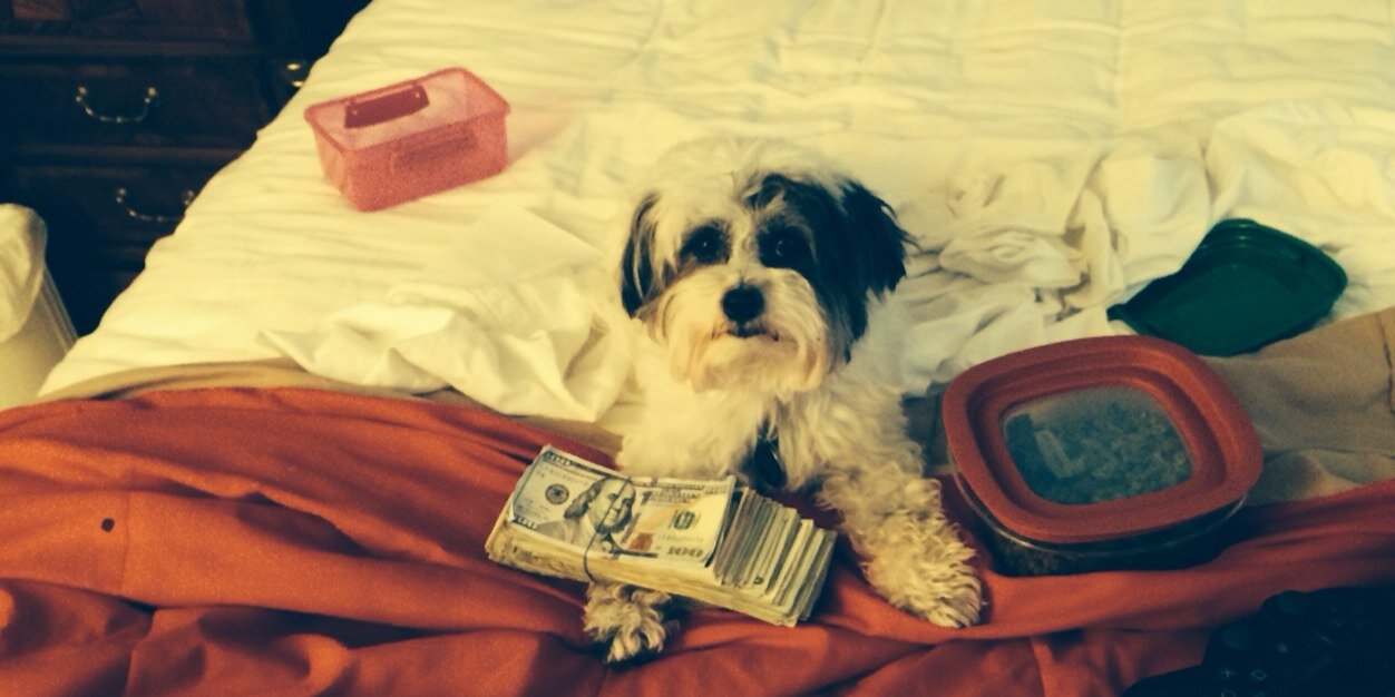 PoloAustin's profile banner image