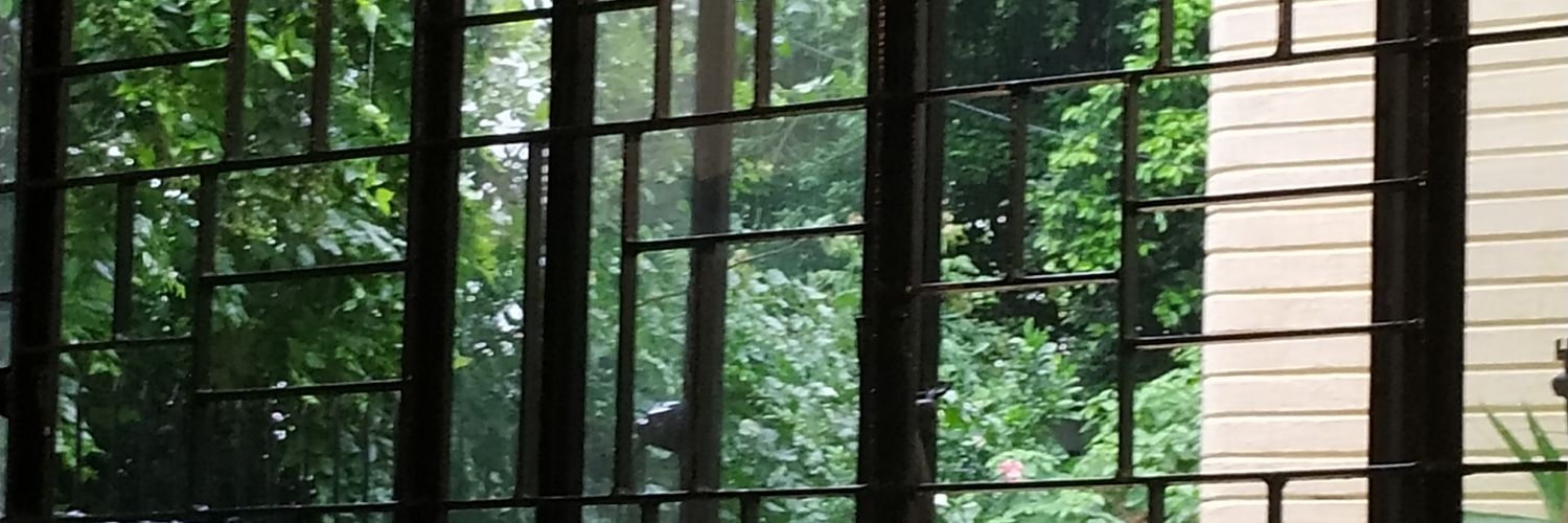 Anasuya Basu, she/her banner