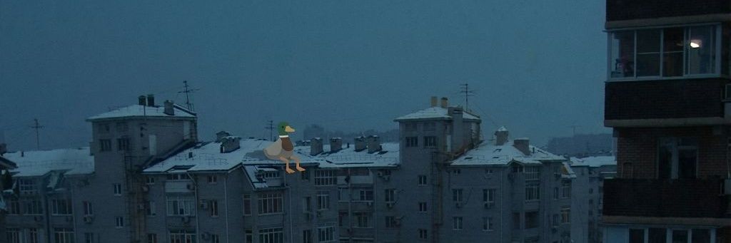 Dolan245's profile banner image