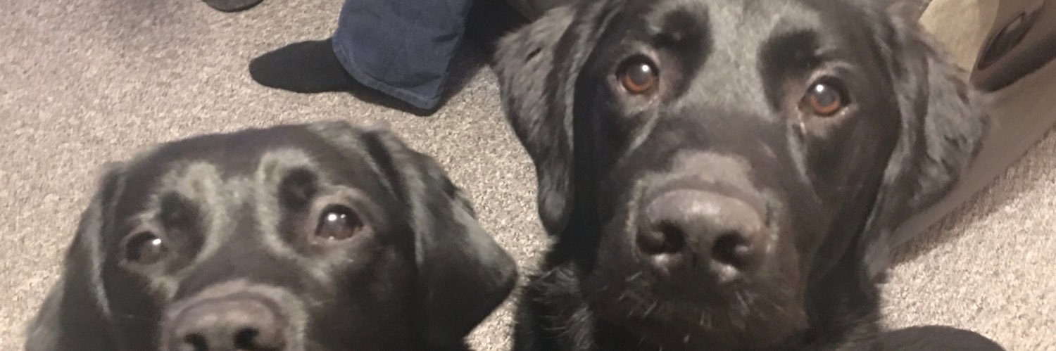 Guide Dog Fargo banner