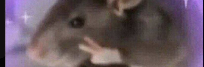 JbdMaxw's profile banner image