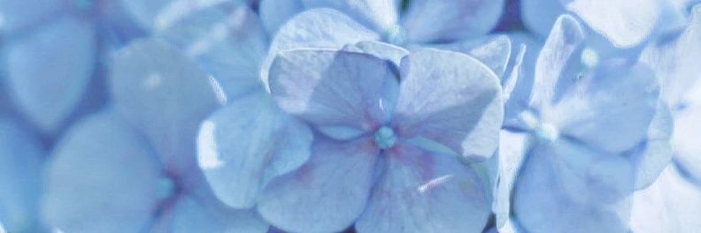 Rei_1018's profile banner image