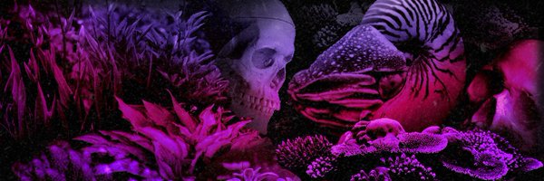 elixirskul Profile Banner