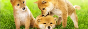 sniper56513's profile banner image