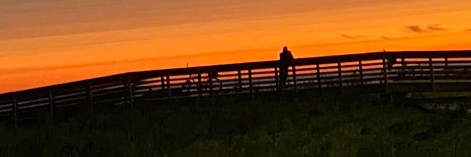 lbeachstace's profile banner image