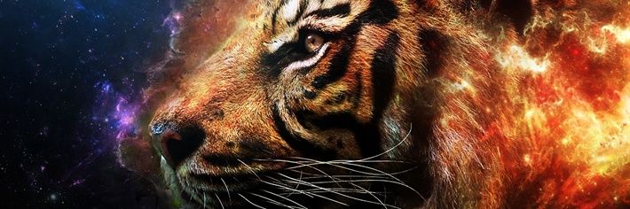 JuliaAonline's profile banner image
