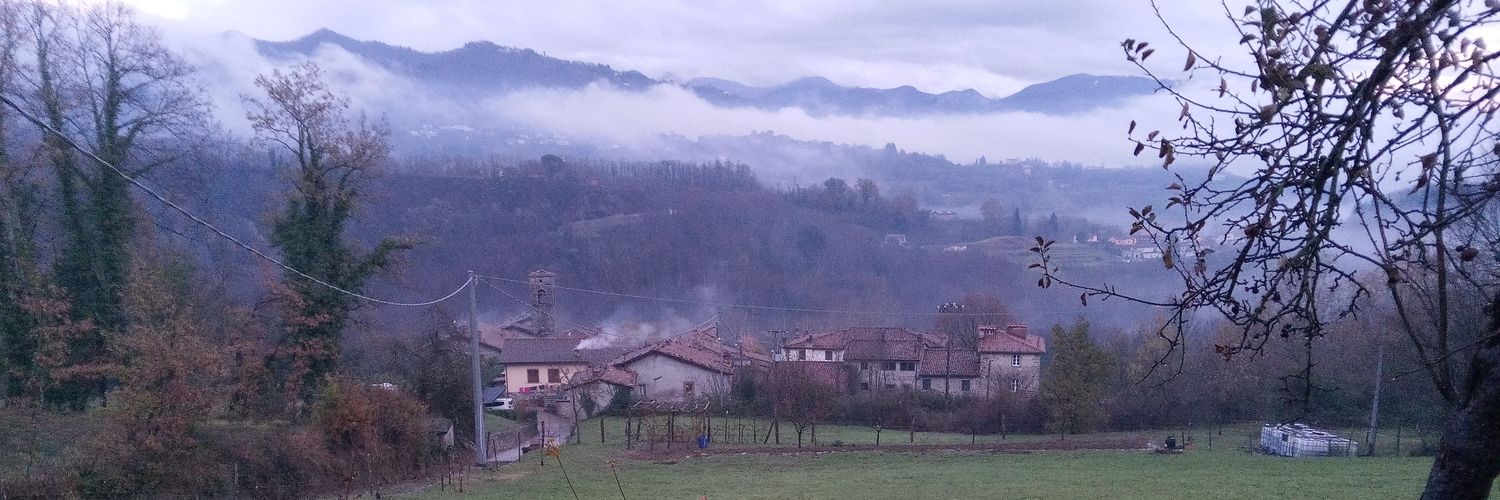 Danny Ayers 🌳 banner