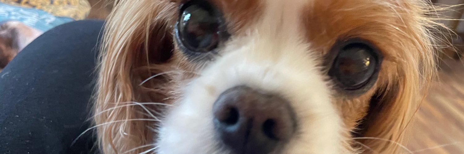 barbweibeler's profile banner image
