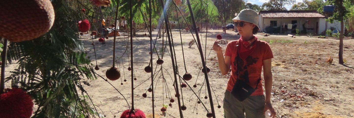 Grace B. Alves banner